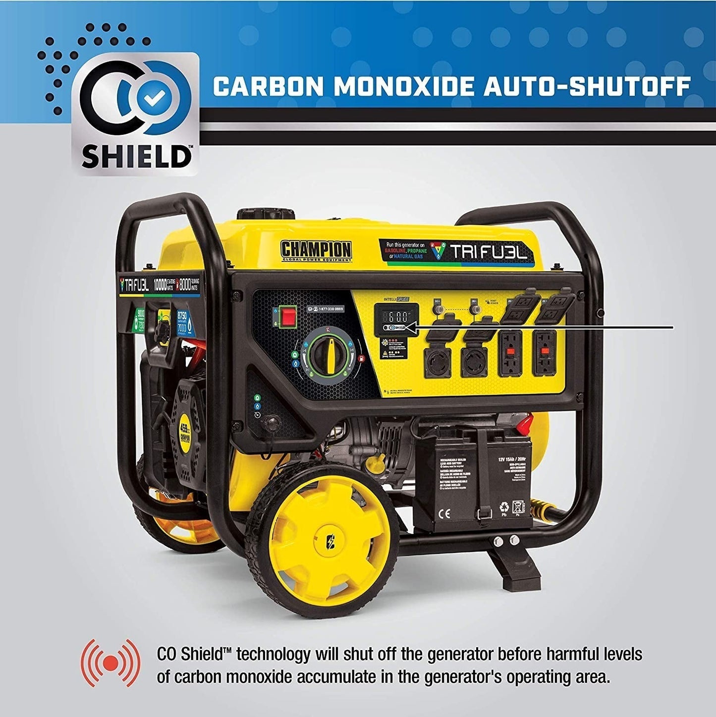 Champion Power Equipment 100416 10 000/8 000 watts
