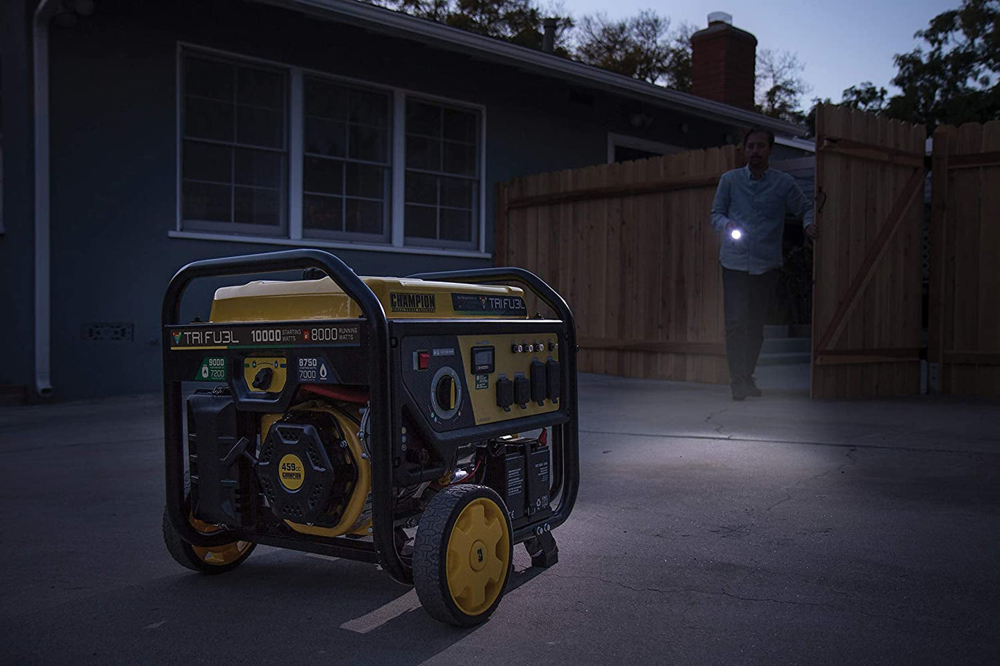 Champion Power Equipment 100416 10 000/8 000 watts