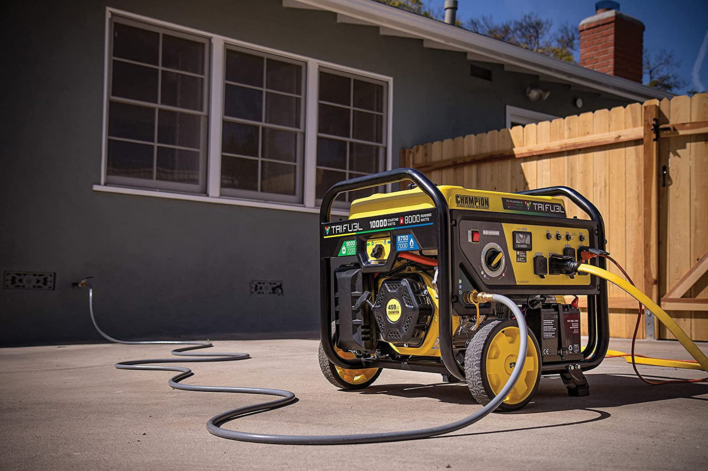 Champion Power Equipment 100416 10 000/8 000 watts