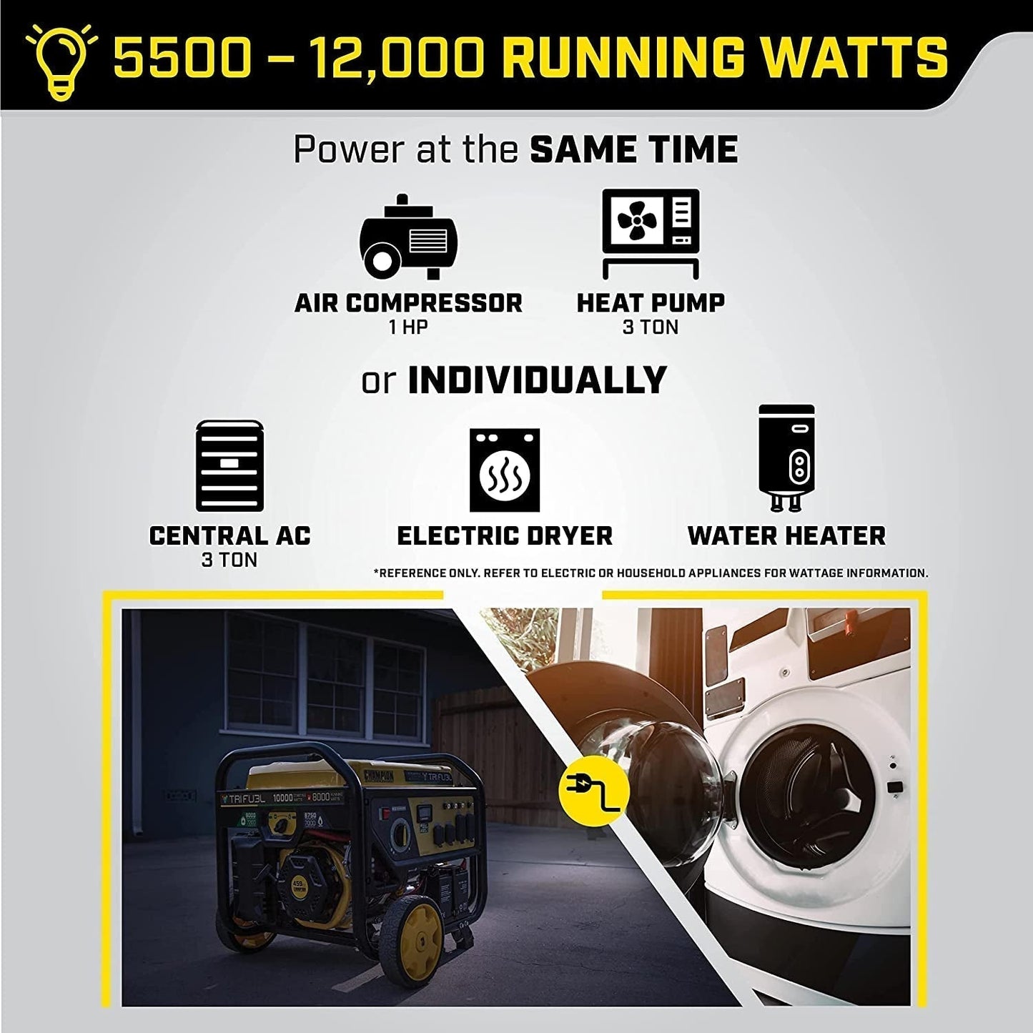 Champion Power Equipment 100416 10 000/8 000 watts