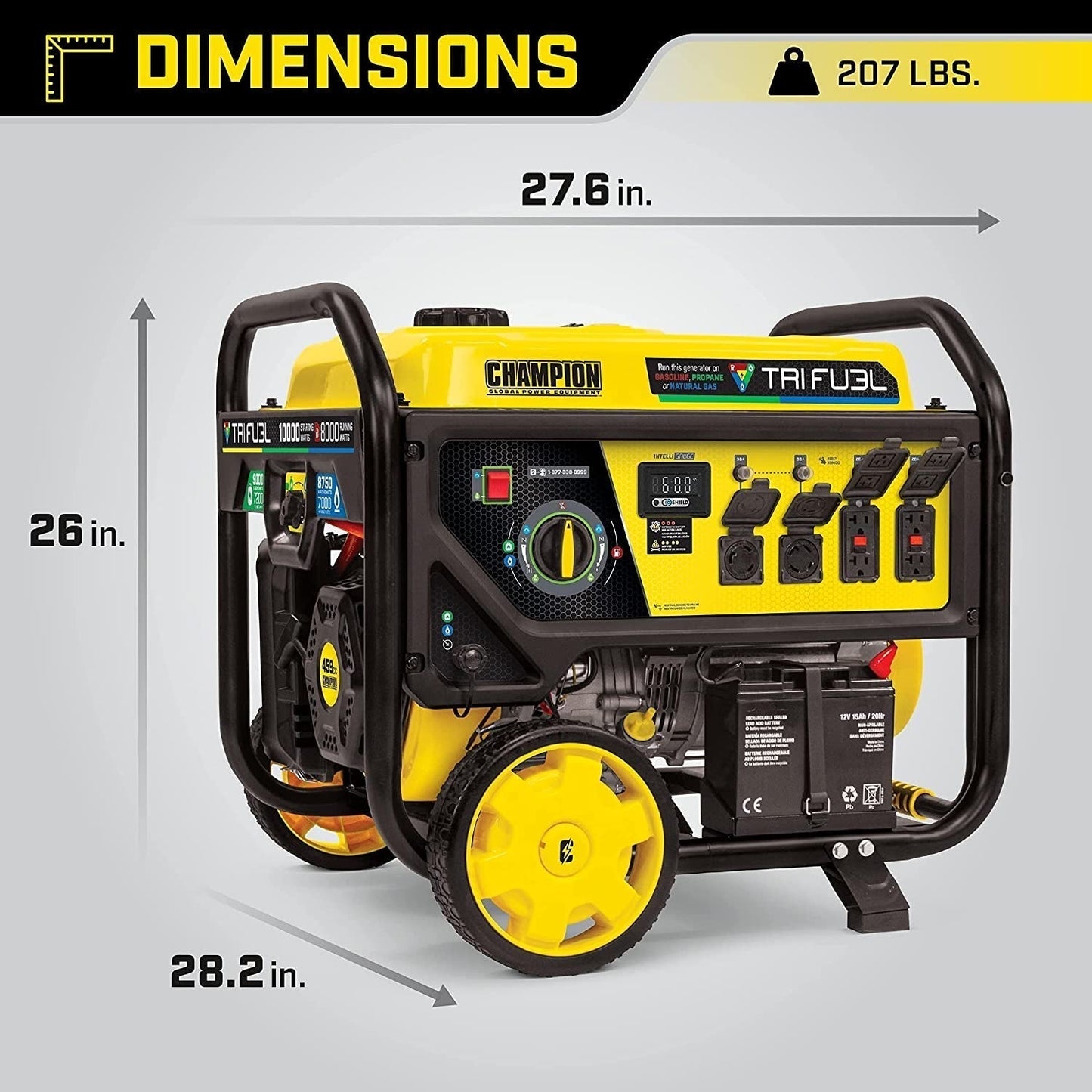 Champion Power Equipment 100416 10 000/8 000 watts