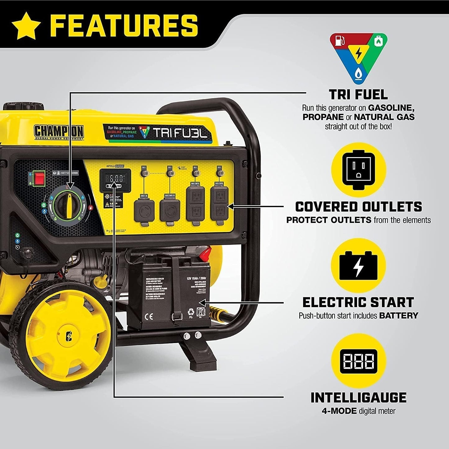 Champion Power Equipment 100416 10 000/8 000 watts